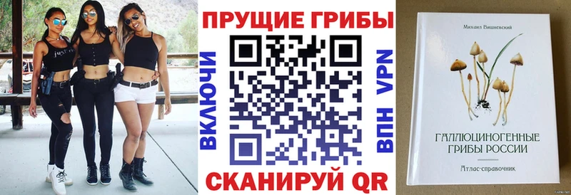 где купить   Медвежьегорск  Галлюциногенные грибы MAGIC MUSHROOMS 